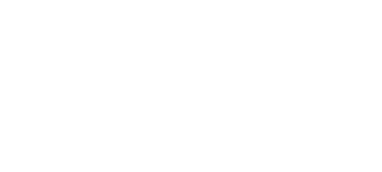 OPTICAL
